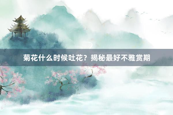菊花什么时候吐花？揭秘最好不雅赏期