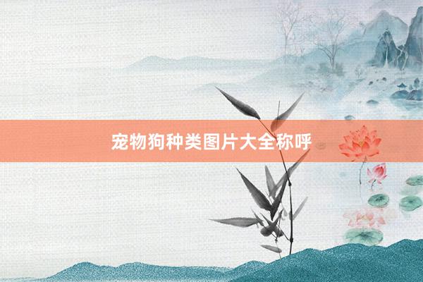 宠物狗种类图片大全称呼