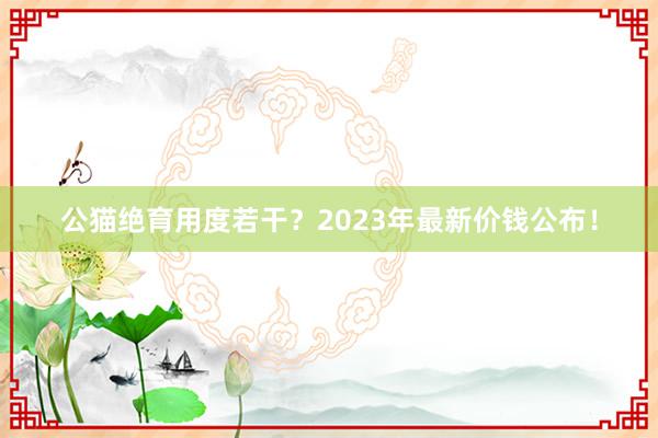 公猫绝育用度若干？2023年最新价钱公布！