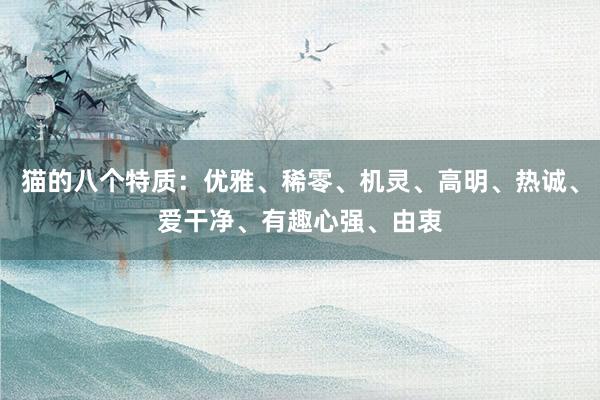 猫的八个特质:优雅、稀零、机灵、高明、热诚、爱干净、有趣心强、由衷